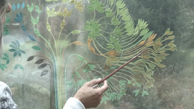 “De un mismo árbol”: la historia de una familia de artistas con muchas ramas 
