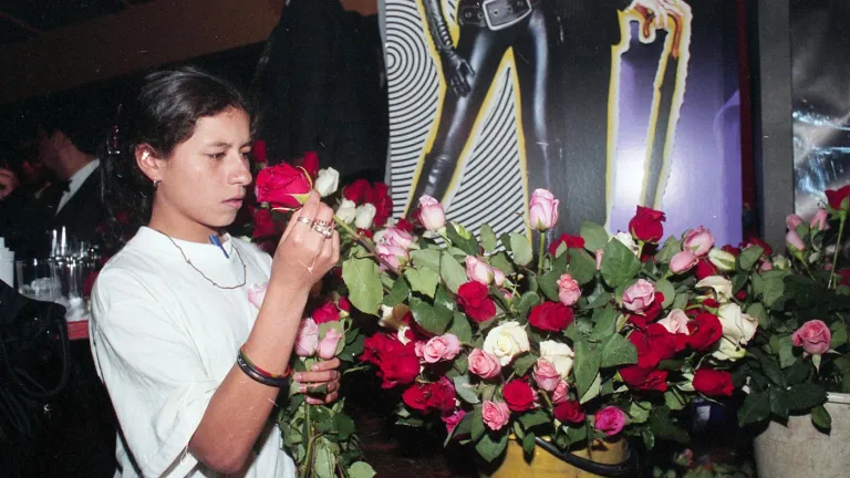 La ‘Vendedora de Rosas’: ¿cómo surgió la película?