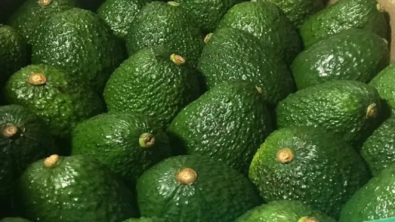 Aguacate hass colombiano de nuevo protagonista del Súper Bowl