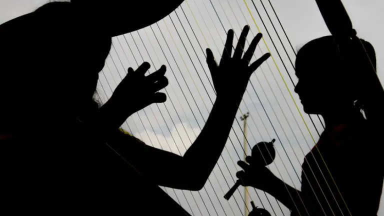 Joropo, formas musicales: tonadas, pasajes y golpes