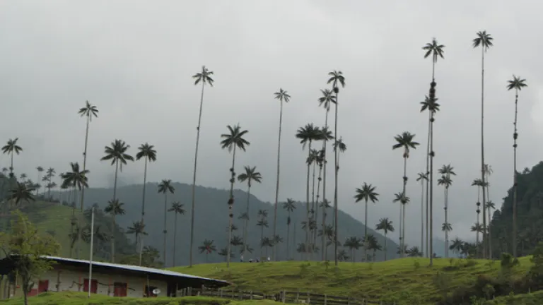 Destinos turísticos para una navidad mágica en Colombia