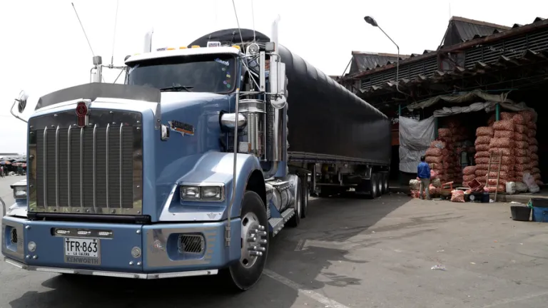 Transportadores de carga 