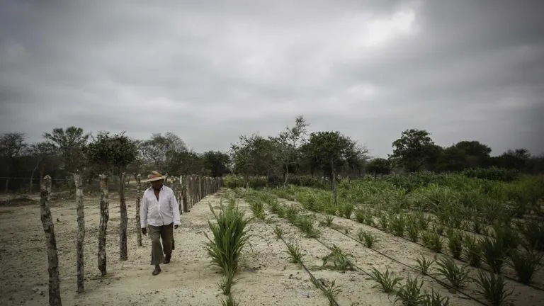 Comunidades indígenas de la Guajira beneficiadas con Agua y Seguridad alimentaria por el Ministerio de Agricultura y Desarrollo Rural.
