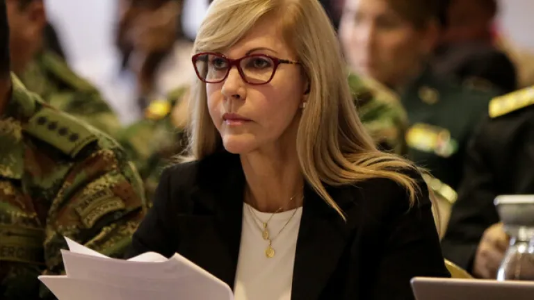 Amenazas en contra de Dilian Francisca Toro. ¿Quiénes serían los responsables?