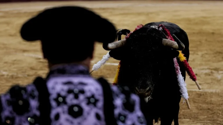 Senado aprobó proyecto que prohíbe corridas de toros en Colombia