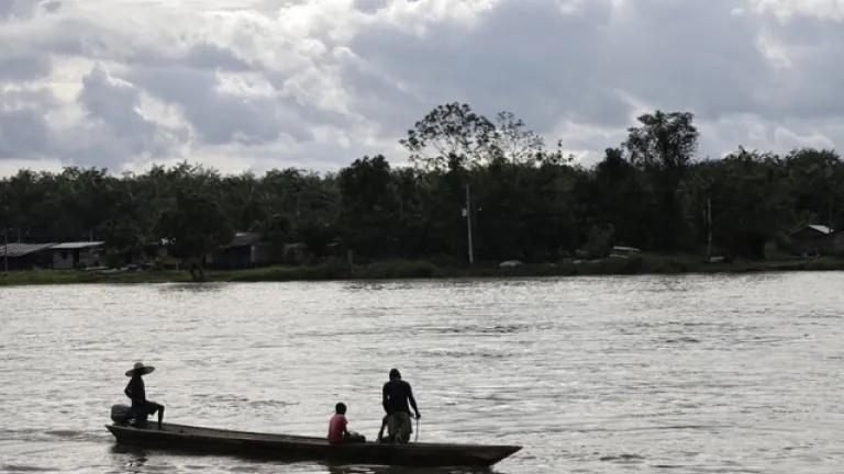 ¿Qué se puede hacer para lograr una pesca sostenible?