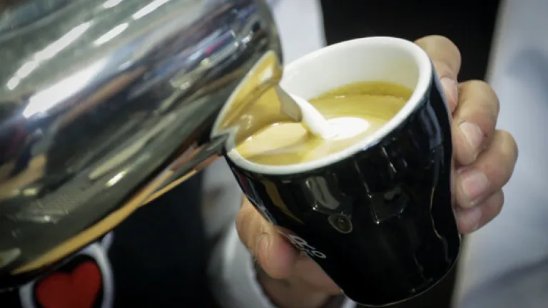Campeonato Nacional de preparación de café en olla