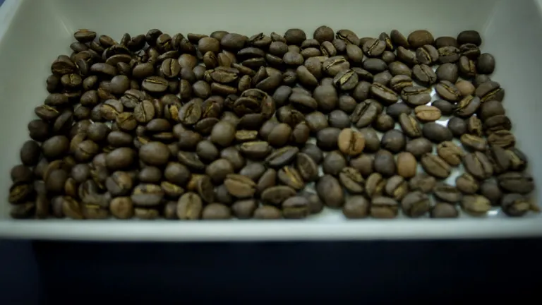 Producción de café colombiano 