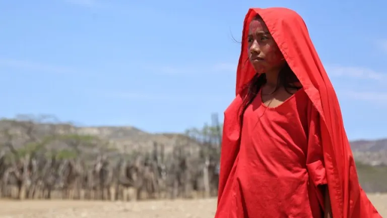 Mujer wayuu