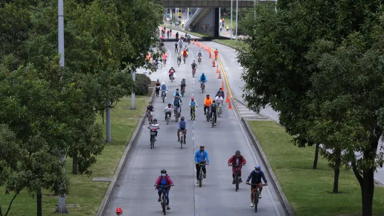 Bosques Urbanos en Bogotá 2023: qué es, cuántos y ubicación 