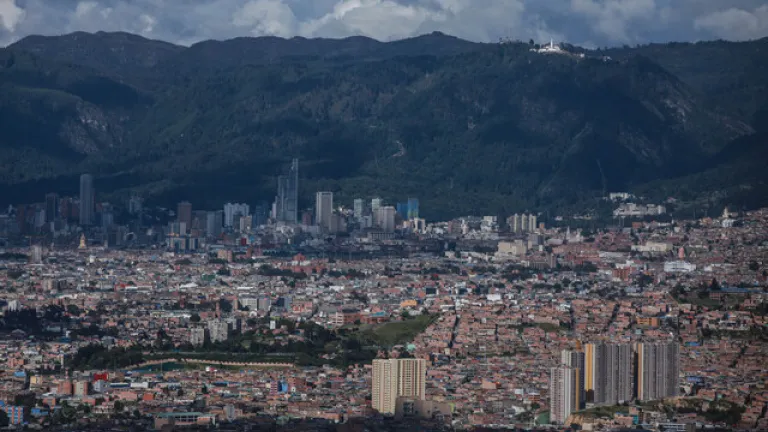 Controlarán presencia de ratones e insectos en varios sectores de Bogotá