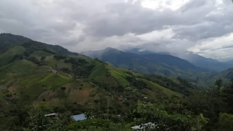 Desplazamientos por combates entre disidencias y el Eln en Cauca