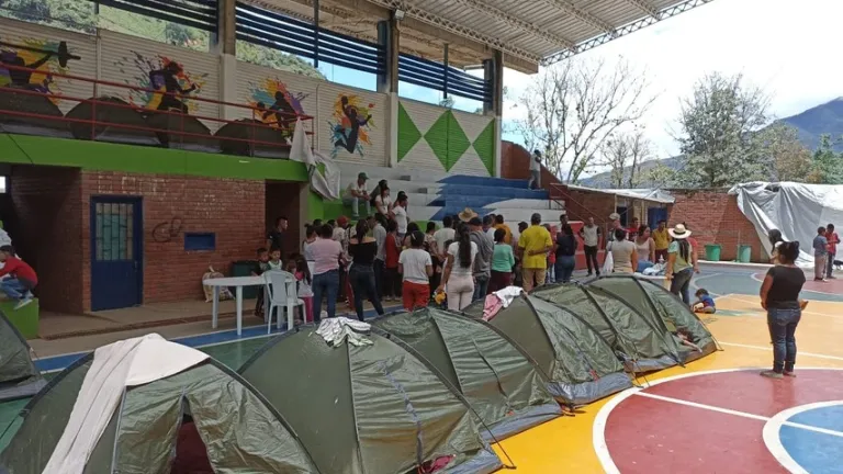 Ordena planes de choque contra el desplazamiento