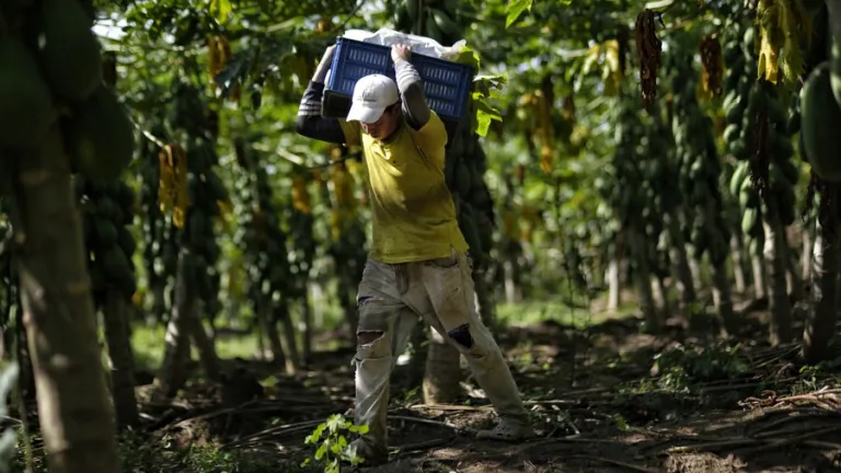 Cuál es la nueva metodología para proyectos de paz