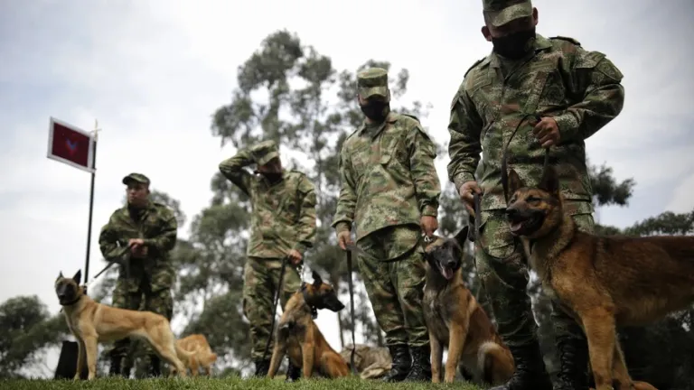 Ejército Nacional de Colombia 