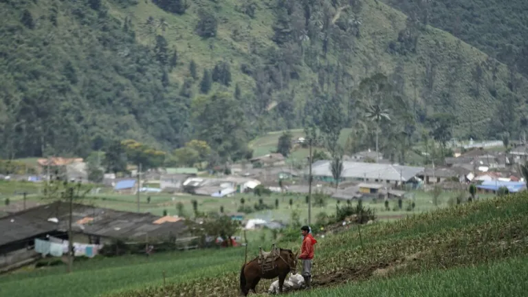 Unas tres mil personas que viven en el Páramo de las Hermosas, una zona que en el pasado fue afectada por el conflicto armado, ahora le apuestan con éxito al turismo de naturaleza y al desarrollo de proyectos productivos sostenibles.