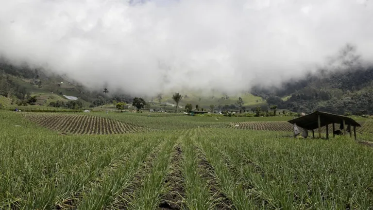 Disputa de tierras en el Cauca