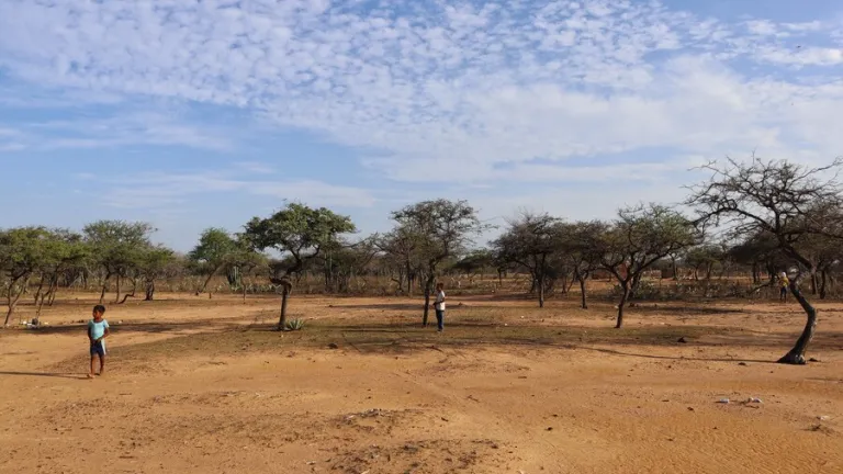 35 menores wayuu se encuentran en riesgo de desnutrición | La Guajira