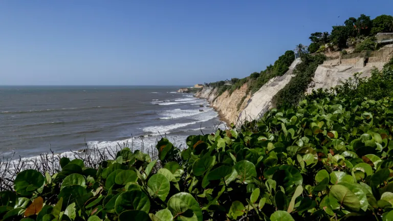 Alerta por incremento en vientos y alto oleaje en el mar Caribe