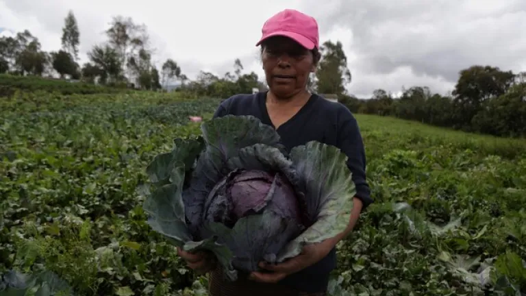 "Ella alimenta al mundo", la iniciativa global que impulsa a las mujeres del campo