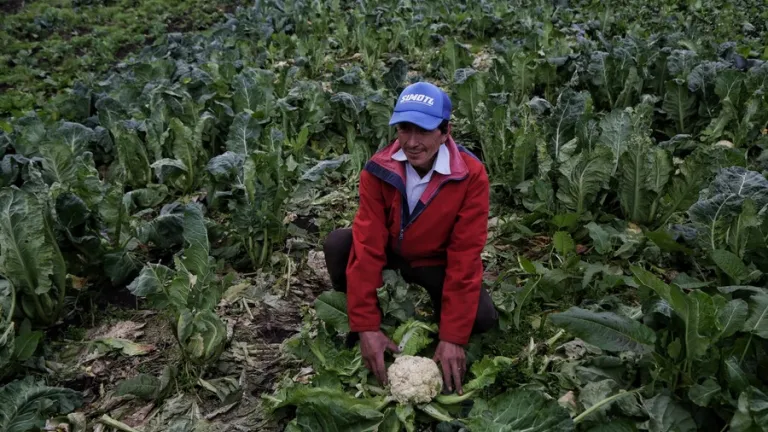 Agencia Nacional de Tierras aprueba cuatro nuevas zonas de reserva campesina