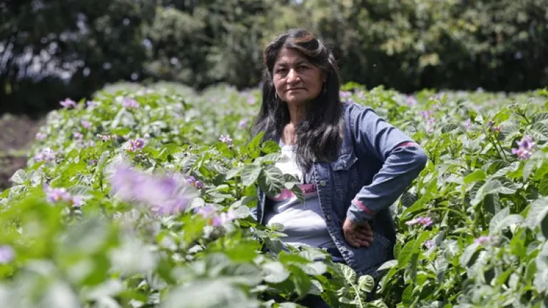  Día Internacional de la Mujer Rural