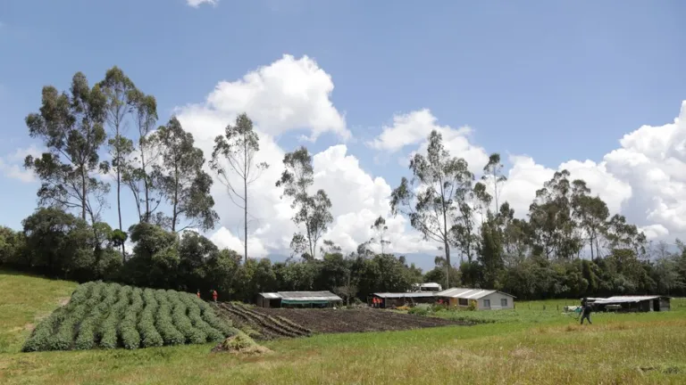 Reforma agraria: estrategia busca agilizar compra de tierras