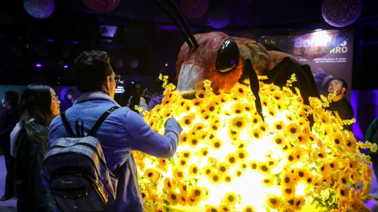Polinizando, el show que encendió la Navidad en el Jardín Botánico de Bogotá