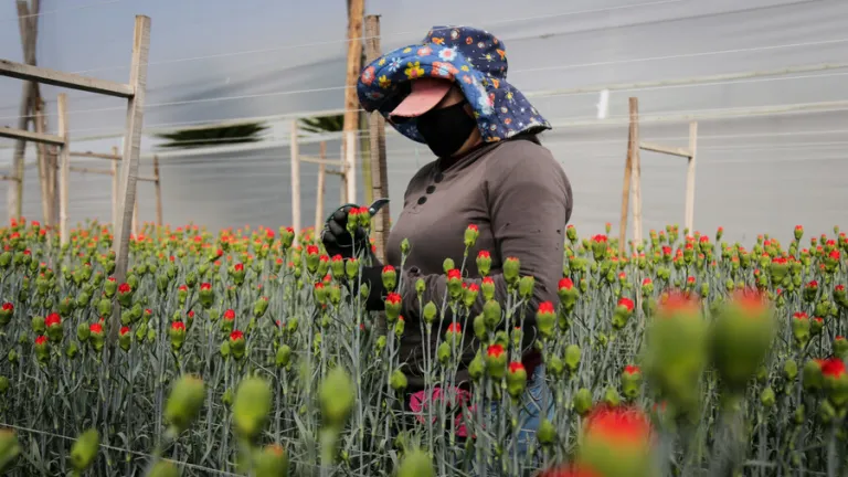 Claves para fortalecer la economía en Colombia 