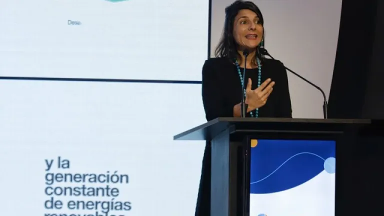 Irene Vélez