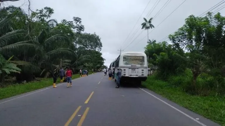 Protesta en la vía entre Pasto y Tumaco: esto piden las comunidades