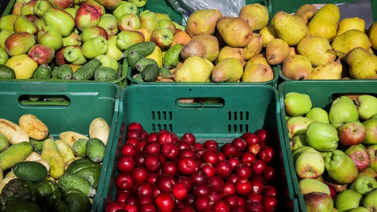 Mercado campesino