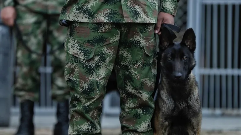 Ejército 
