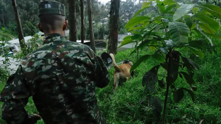 Ordenan captura de miembros del Ejército en Cali