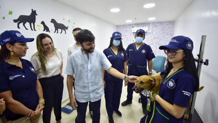Barranquilla abre centro de bienestar animal para perros, gatos y equinos