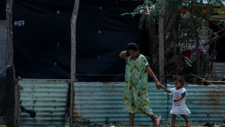 Más de 27 mil familias Wayuu ingresarán al programa Renta Ciudadana