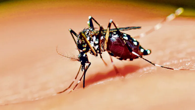 Declaran alerta verde hospitalaria en Bucaramanga por aumento de casos de dengue