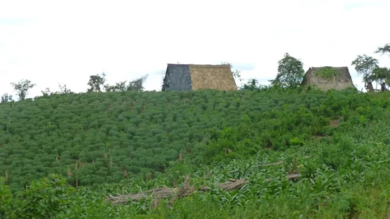 Montes de María