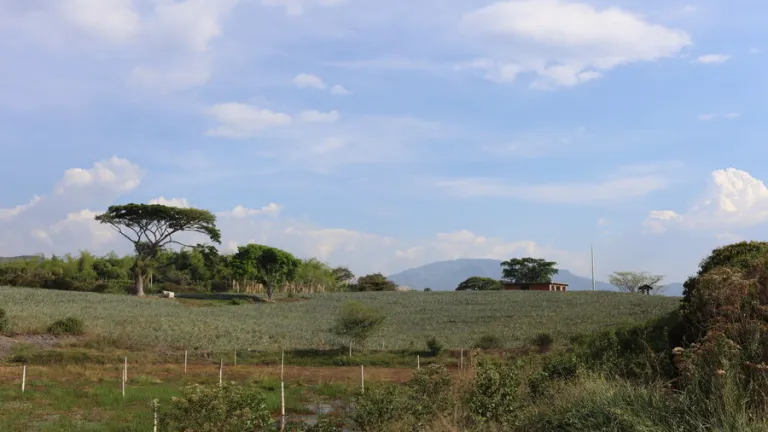 Orden público en el Cauca