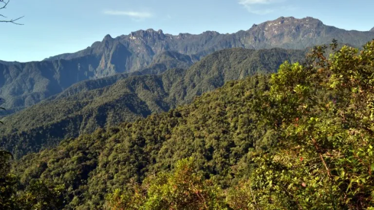 Recuperación incendio el Parque Nacional Natural Los Nevados 2023