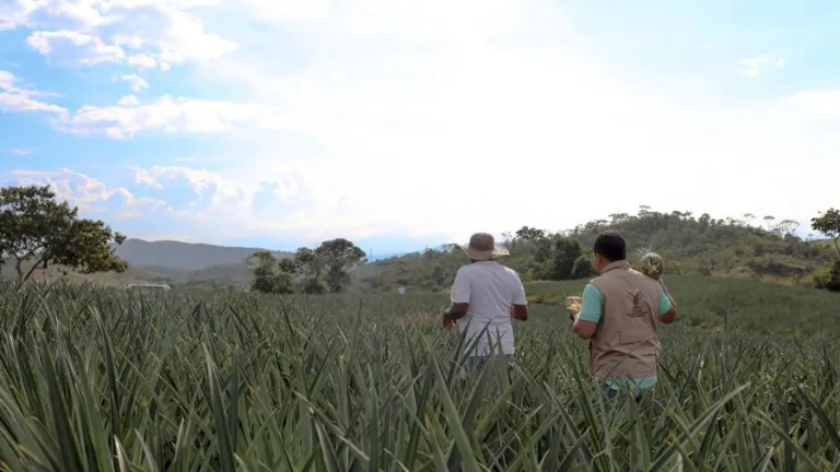 Unidad de Restitución de Tierras, nuevo gestor catastral