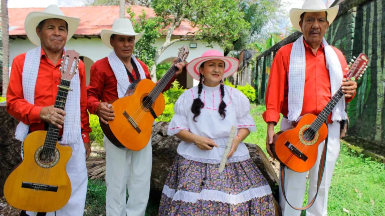 Tributo música campesina.