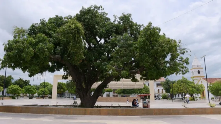 Así funciona la Jornada de regularización de migrantes en Valledupar 