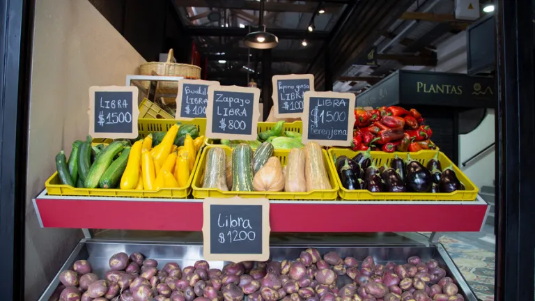 ‘Cosechando Sabores’ fechas en las plazas de mercado