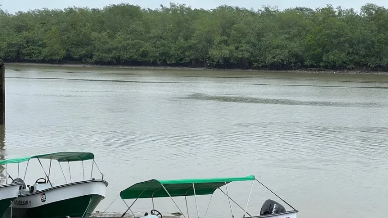  Buenaventura: 200 familias permanecen confinadas por acciones armadas