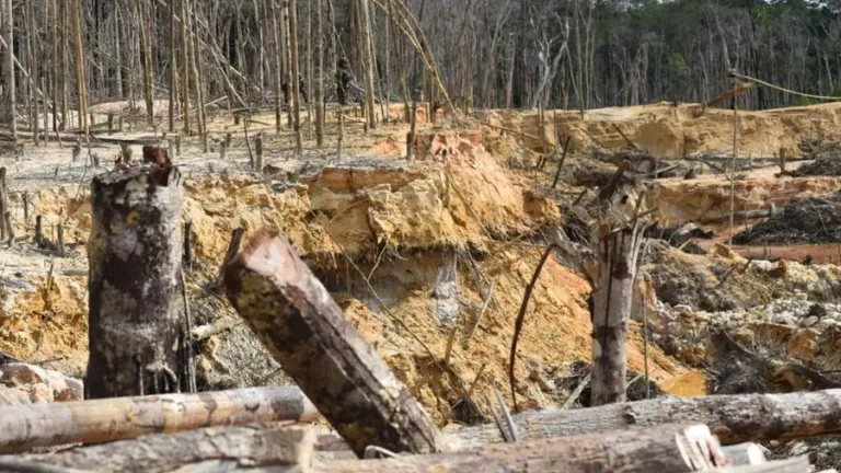 En Guainía tomará 30 años recuperar territorios afectados por la minería ilegal