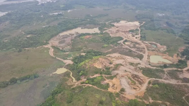 Reducción de deforestación en Colombia 2022 