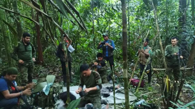 Presidente Petro habló sobre los menores que aparecieron en Selva del Guaviare