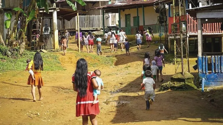 Paludismo en Risaralda: Ministerio de Salud y la Cruz Roja toman medidas para combatir el brote