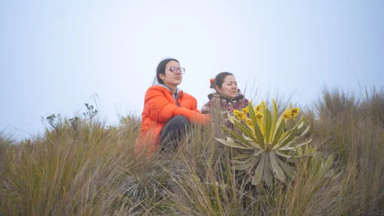 Pirsas, documental colombiano que competirá en el Festival de Cine de San Sebastián en España